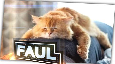 faproul|faul .